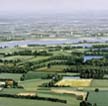 Landschaft bei Nijmegen 2001