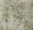 Teichstück 10/IV (Giverny) 1989