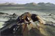 Timanfaya 3/VII 1997